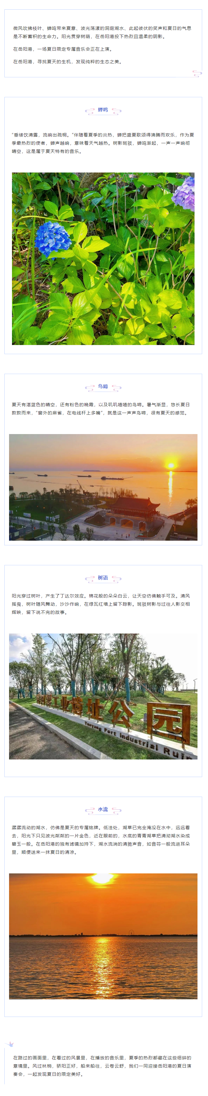 【夏日演奏會(huì)】在岳陽(yáng)港，聆聽夏天的聲音.png